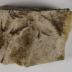 Material, Worked