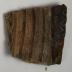 Sherd