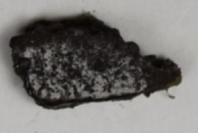 Sherd