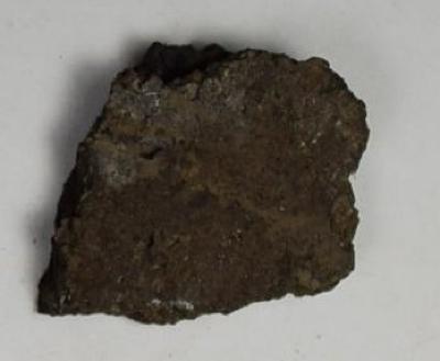 Sherd