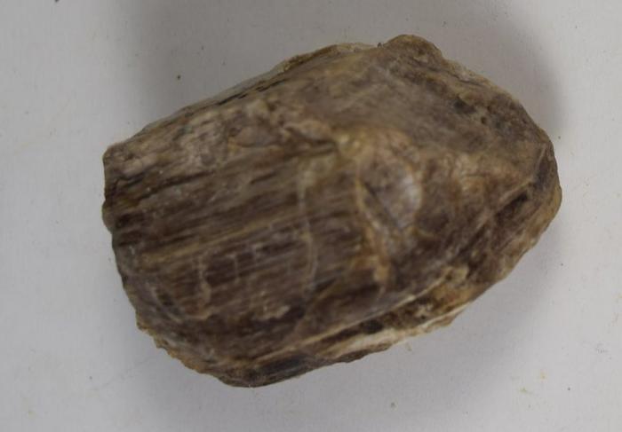 Rock