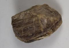 Rock