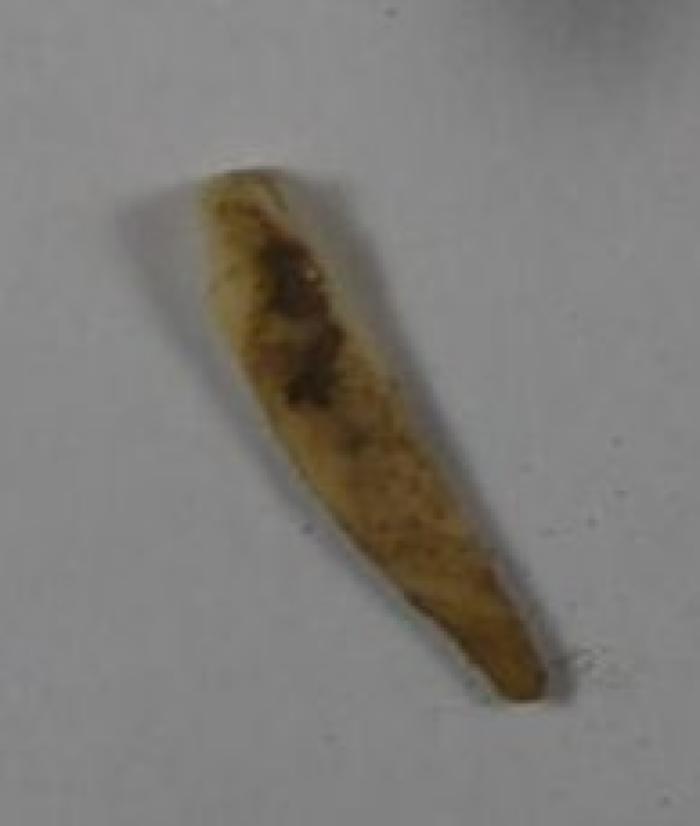 Fragment