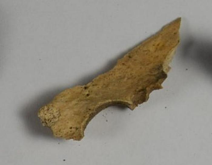 Fragment
