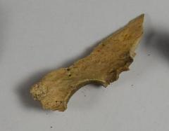 Fragment
