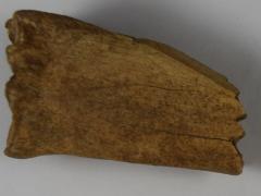 Fragment