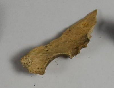 Fragment