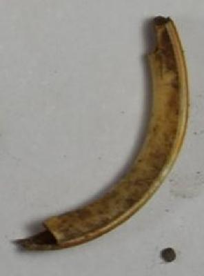 Fragment