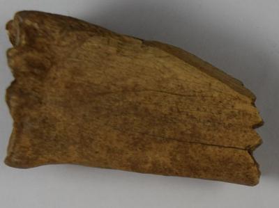 Fragment