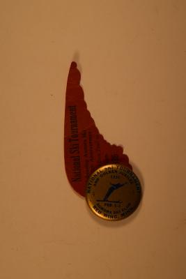 Pin