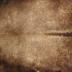 Buffalo Hide / Buffalo Robe