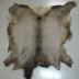 Elk Hide