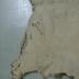 Elk Hide