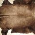 Buffalo Hide / Buffalo Robe