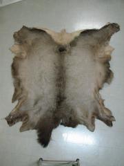 Elk Hide