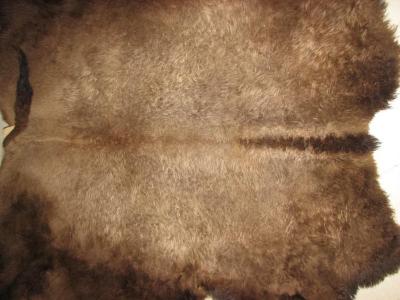Buffalo Hide / Buffalo Robe
