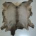 Elk Hide