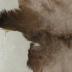 Elk Hide