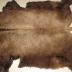 Buffalo Hide / Buffalo Robe