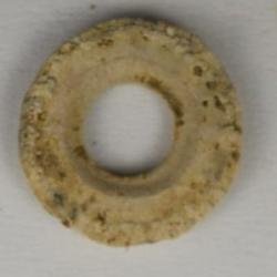 Fossil