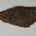 Sherd