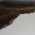Sherd