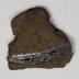 Sherd