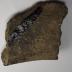 Sherd