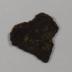 Sherd