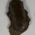 Sherd