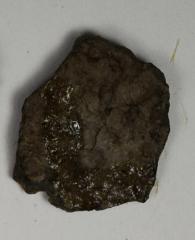 Sherd