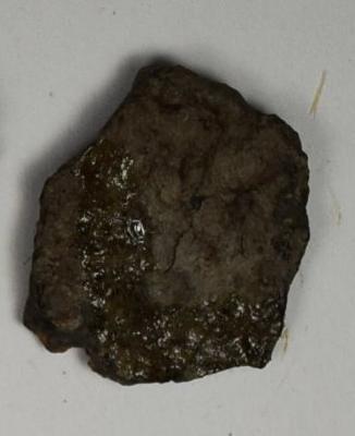 Sherd