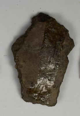 Sherd