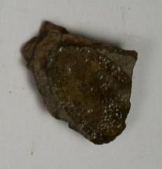 Sherd