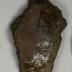 Sherd
