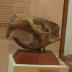 Replica