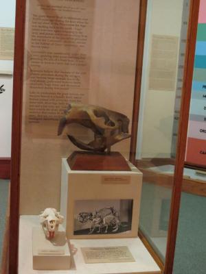 Replica
