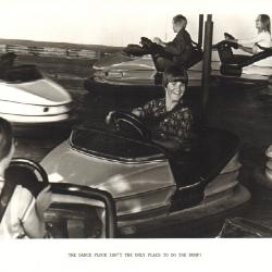 Bumper Cars